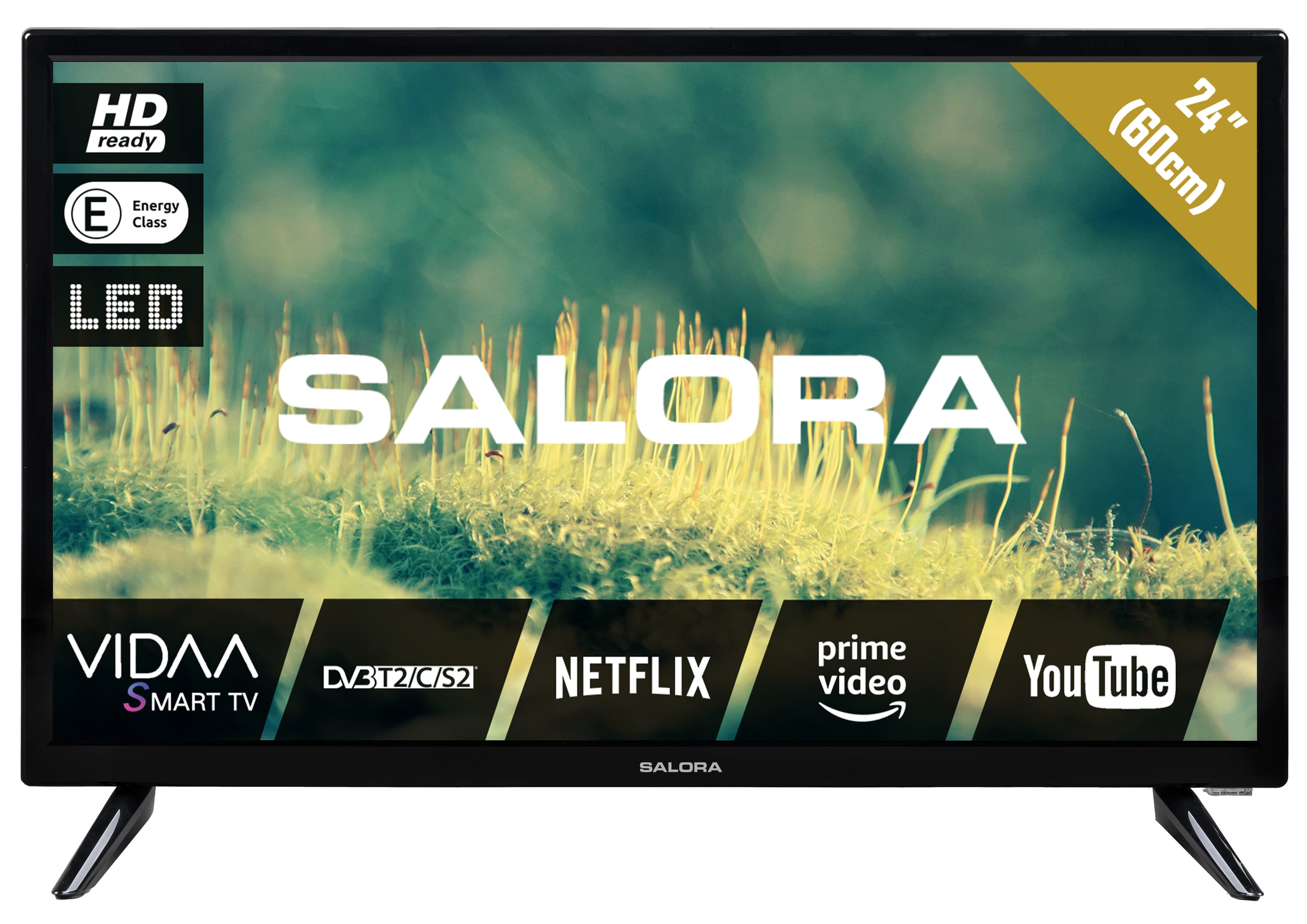 Salora EDV200 24" — vue 1 sur 8