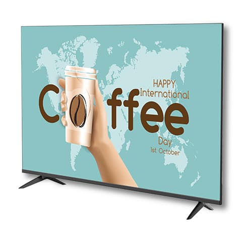 Sharp EJ2U 50" — vue 1 sur 3